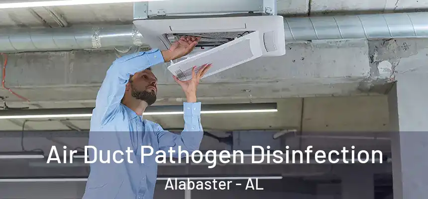  Air Duct Pathogen Disinfection Alabaster - AL