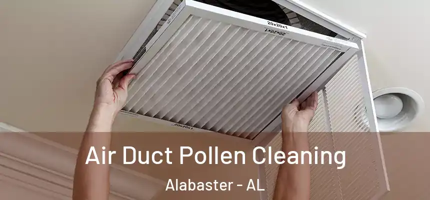 Air Duct Pollen Cleaning Alabaster - AL
