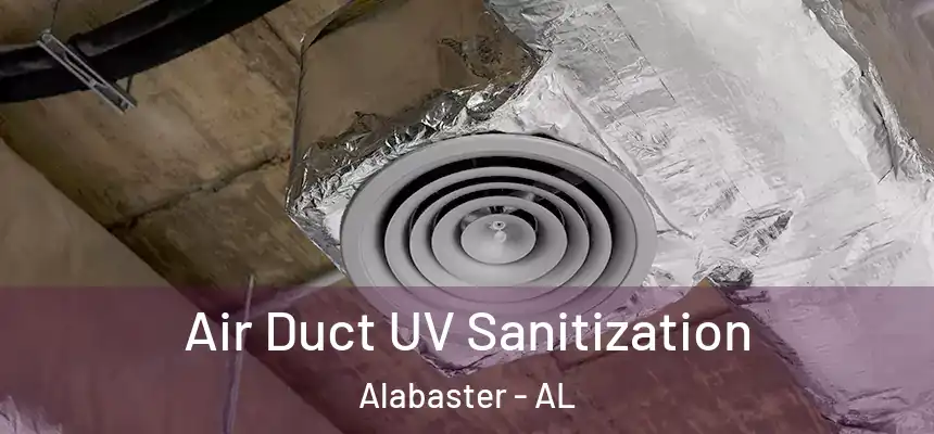  Air Duct UV Sanitization Alabaster - AL