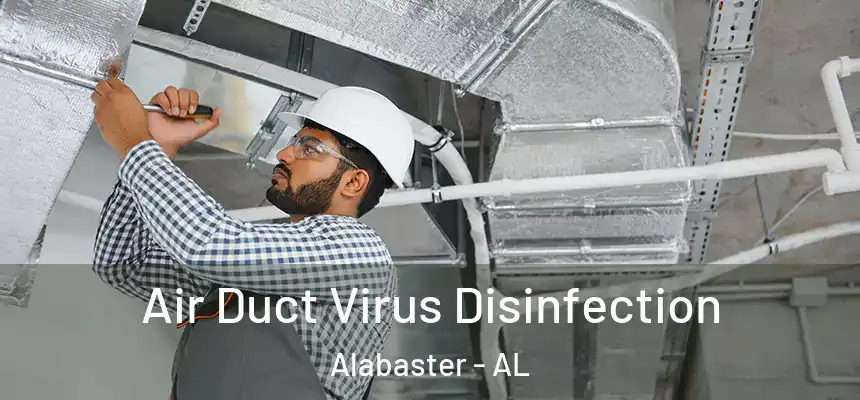  Air Duct Virus Disinfection Alabaster - AL