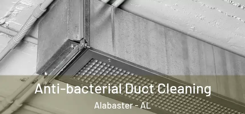 Anti-bacterial Duct Cleaning Alabaster - AL