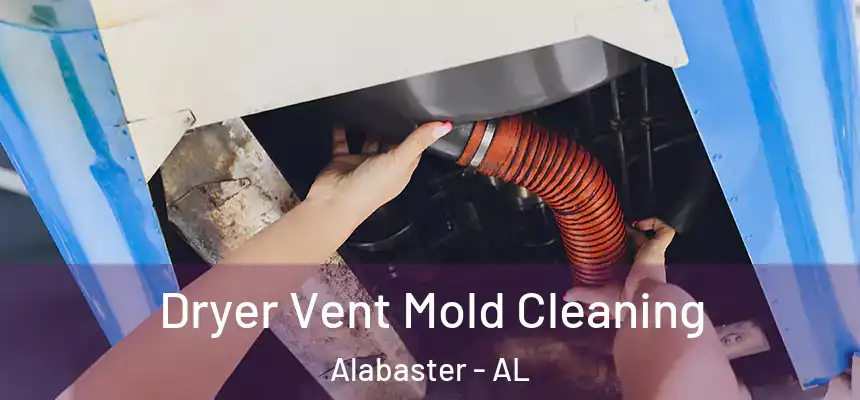  Dryer Vent Mold Cleaning Alabaster - AL
