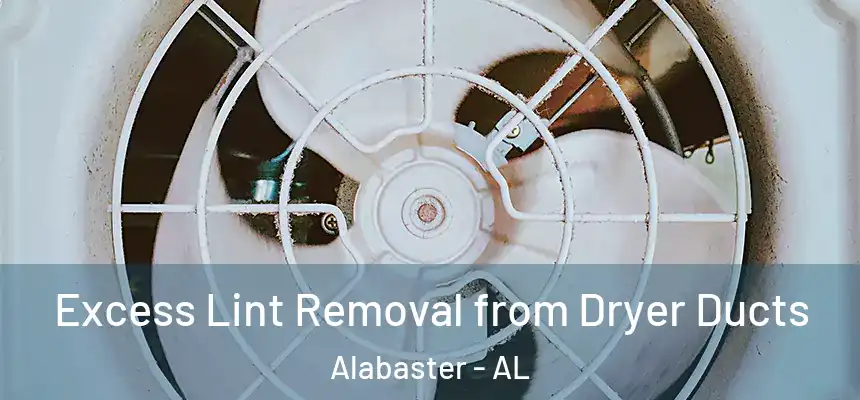 Excess Lint Removal from Dryer Ducts Alabaster - AL