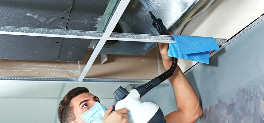 Our Air Duct Rodent Removal Services in Alabaster, AL
