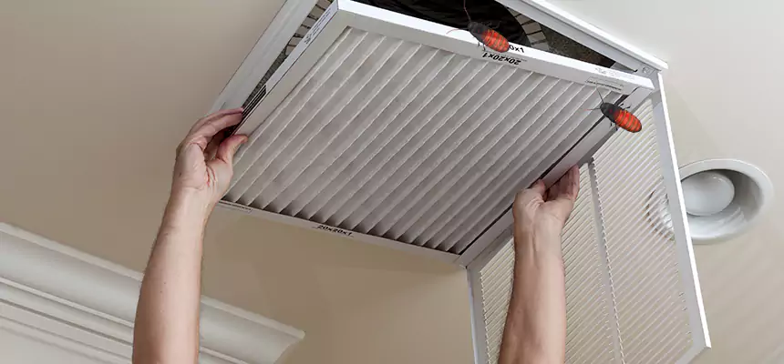 Our Insect Removal from Air Ducts Services in Alabaster, AL