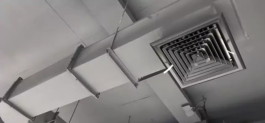 Our Pest Removal From Ducts Services in Alabaster, AL