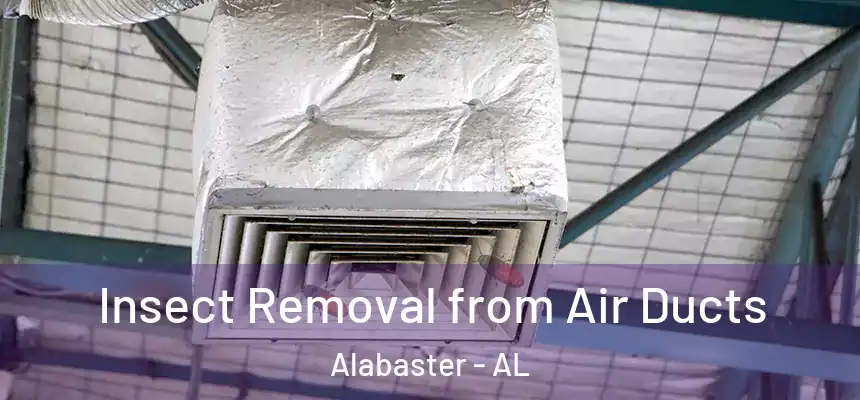  Insect Removal from Air Ducts Alabaster - AL