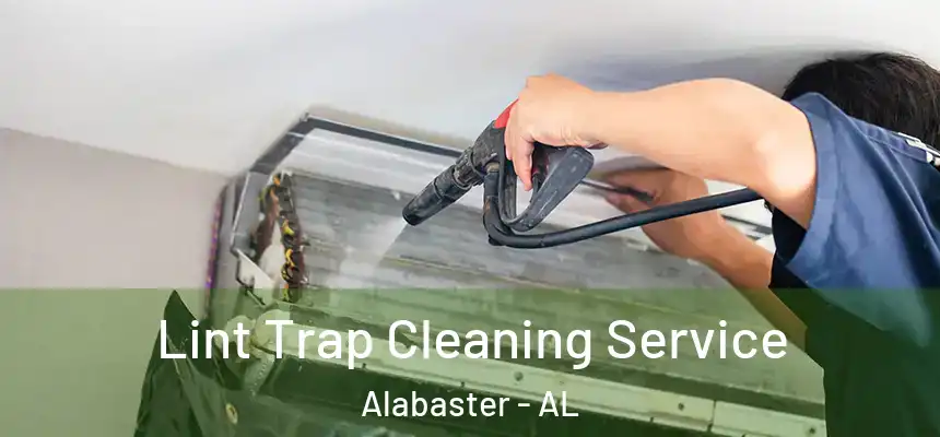 Lint Trap Cleaning Service Alabaster - AL