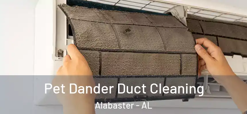Pet Dander Duct Cleaning Alabaster - AL