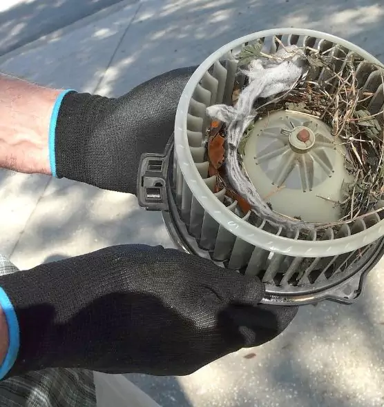 About Air Duct Rat Removal in Alabaster, AL