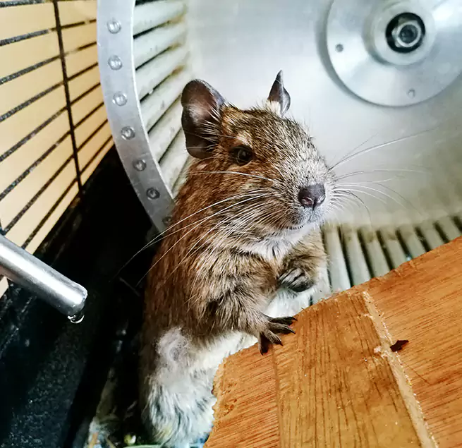 Why Homeowners & Businesses Trust Us Alabaster, AL?