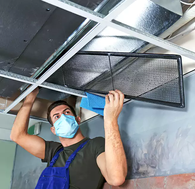 Why Homeowners Businesses Trust Us in Alabaster, AL