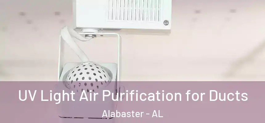  UV Light Air Purification for Ducts Alabaster - AL