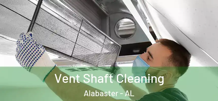  Vent Shaft Cleaning Alabaster - AL